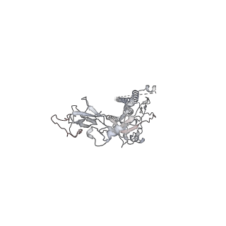 29032_8fel_A_v1-2
Langya Virus Fusion Protein (LayV-F) in Post-Fusion Conformation