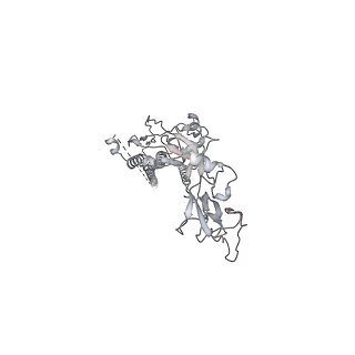 29032_8fel_B_v1-2
Langya Virus Fusion Protein (LayV-F) in Post-Fusion Conformation
