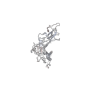 29032_8fel_C_v1-2
Langya Virus Fusion Protein (LayV-F) in Post-Fusion Conformation