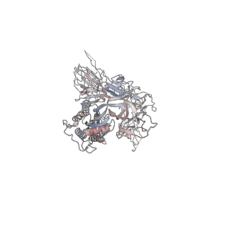 29035_8fez_A_v1-0
Prefusion-stabilized SARS-CoV-2 spike protein