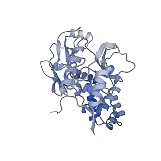 31552_7fec_A_v1-0
Cryo-EM structure of the nonameric SsaV cytosolic domain with C9 symmetry