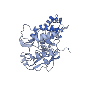 31552_7fec_D_v1-0
Cryo-EM structure of the nonameric SsaV cytosolic domain with C9 symmetry