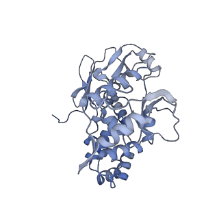 31552_7fec_E_v1-0
Cryo-EM structure of the nonameric SsaV cytosolic domain with C9 symmetry