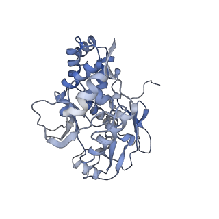 31552_7fec_F_v1-0
Cryo-EM structure of the nonameric SsaV cytosolic domain with C9 symmetry