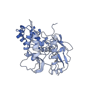 31552_7fec_G_v1-0
Cryo-EM structure of the nonameric SsaV cytosolic domain with C9 symmetry