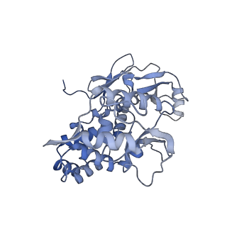 31552_7fec_I_v1-0
Cryo-EM structure of the nonameric SsaV cytosolic domain with C9 symmetry