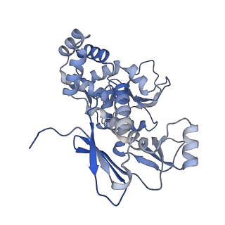 31553_7fed_A_v1-0
Cryo-EM structure of the nonameric SsaV cytosolic domain with D9 symmetry