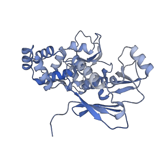 31553_7fed_B_v1-0
Cryo-EM structure of the nonameric SsaV cytosolic domain with D9 symmetry
