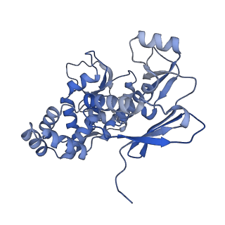 31553_7fed_C_v1-0
Cryo-EM structure of the nonameric SsaV cytosolic domain with D9 symmetry