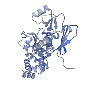 31553_7fed_D_v1-0
Cryo-EM structure of the nonameric SsaV cytosolic domain with D9 symmetry