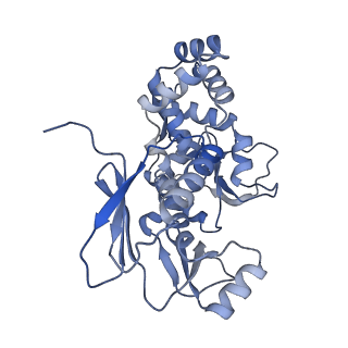 31553_7fed_E_v1-0
Cryo-EM structure of the nonameric SsaV cytosolic domain with D9 symmetry
