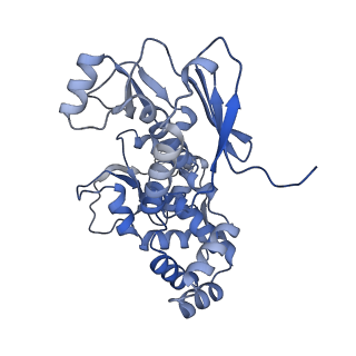 31553_7fed_F_v1-0
Cryo-EM structure of the nonameric SsaV cytosolic domain with D9 symmetry