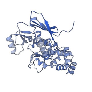 31553_7fed_G_v1-0
Cryo-EM structure of the nonameric SsaV cytosolic domain with D9 symmetry