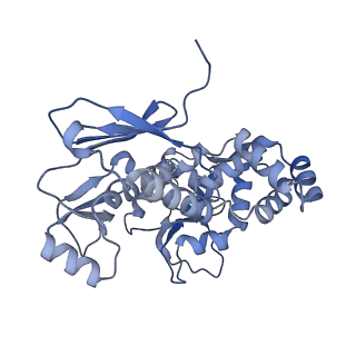 31553_7fed_H_v1-0
Cryo-EM structure of the nonameric SsaV cytosolic domain with D9 symmetry