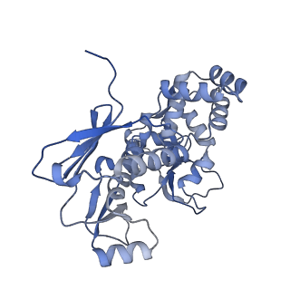 31553_7fed_I_v1-0
Cryo-EM structure of the nonameric SsaV cytosolic domain with D9 symmetry