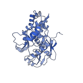 31553_7fed_J_v1-0
Cryo-EM structure of the nonameric SsaV cytosolic domain with D9 symmetry