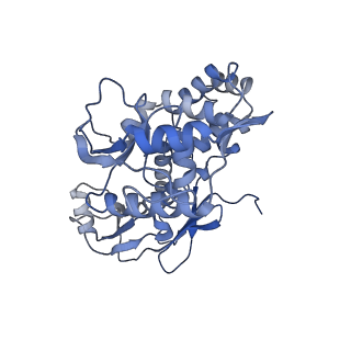 31553_7fed_K_v1-0
Cryo-EM structure of the nonameric SsaV cytosolic domain with D9 symmetry
