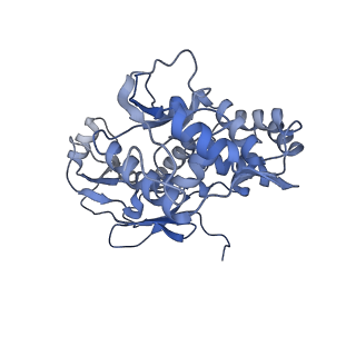 31553_7fed_L_v1-0
Cryo-EM structure of the nonameric SsaV cytosolic domain with D9 symmetry