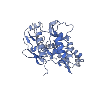 31553_7fed_M_v1-0
Cryo-EM structure of the nonameric SsaV cytosolic domain with D9 symmetry