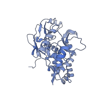 31553_7fed_N_v1-0
Cryo-EM structure of the nonameric SsaV cytosolic domain with D9 symmetry