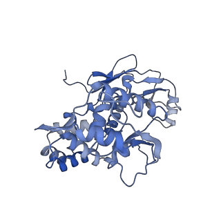 31553_7fed_P_v1-0
Cryo-EM structure of the nonameric SsaV cytosolic domain with D9 symmetry