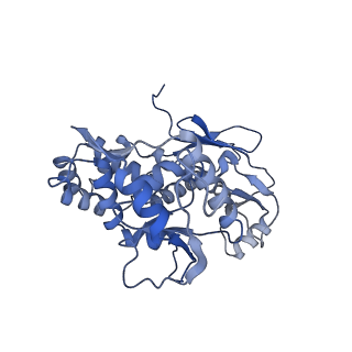 31553_7fed_Q_v1-0
Cryo-EM structure of the nonameric SsaV cytosolic domain with D9 symmetry
