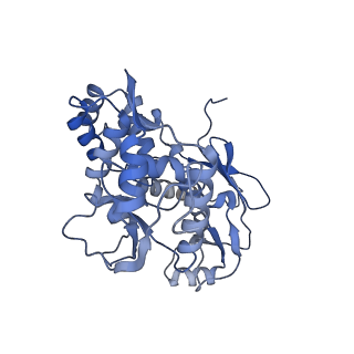 31553_7fed_R_v1-0
Cryo-EM structure of the nonameric SsaV cytosolic domain with D9 symmetry