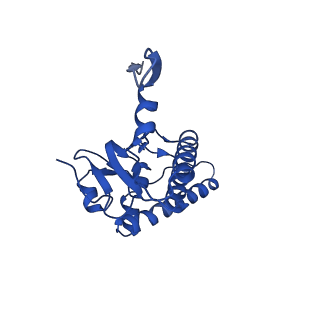 31559_7fep_B_v1-1
Cryo-EM structure of BsClpP-ADEP1 complex at pH 6.5