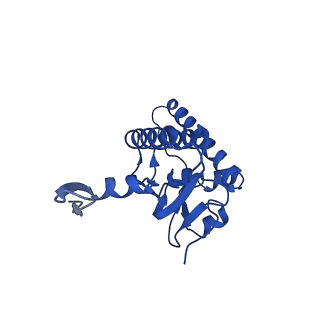 31559_7fep_D_v1-1
Cryo-EM structure of BsClpP-ADEP1 complex at pH 6.5