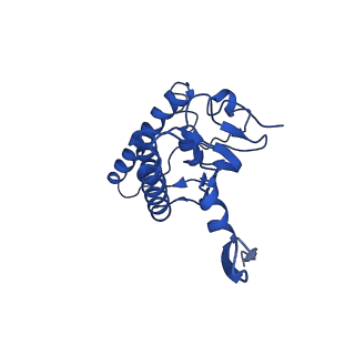 31559_7fep_F_v1-1
Cryo-EM structure of BsClpP-ADEP1 complex at pH 6.5