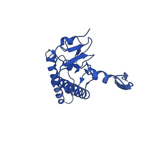 31559_7fep_G_v1-1
Cryo-EM structure of BsClpP-ADEP1 complex at pH 6.5