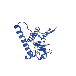 31559_7fep_H_v1-1
Cryo-EM structure of BsClpP-ADEP1 complex at pH 6.5