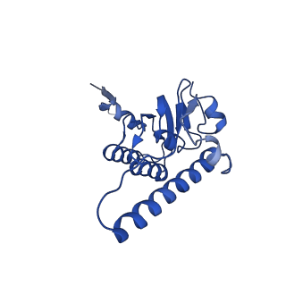 31559_7fep_M_v1-1
Cryo-EM structure of BsClpP-ADEP1 complex at pH 6.5