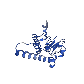31559_7fep_N_v1-1
Cryo-EM structure of BsClpP-ADEP1 complex at pH 6.5