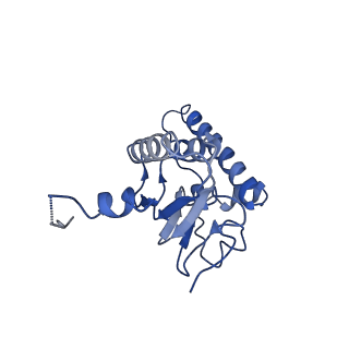 31560_7feq_A_v1-1
Cryo-EM structure of apo BsClpP at pH 6.5