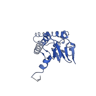 31560_7feq_B_v1-1
Cryo-EM structure of apo BsClpP at pH 6.5