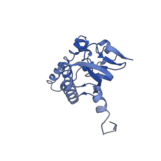 31560_7feq_C_v1-1
Cryo-EM structure of apo BsClpP at pH 6.5