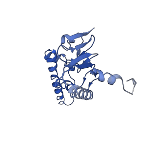 31560_7feq_D_v1-1
Cryo-EM structure of apo BsClpP at pH 6.5