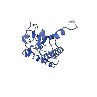 31560_7feq_E_v1-1
Cryo-EM structure of apo BsClpP at pH 6.5