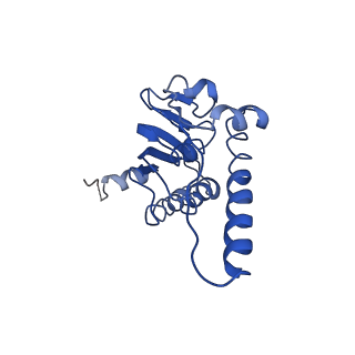 31560_7feq_H_v1-1
Cryo-EM structure of apo BsClpP at pH 6.5