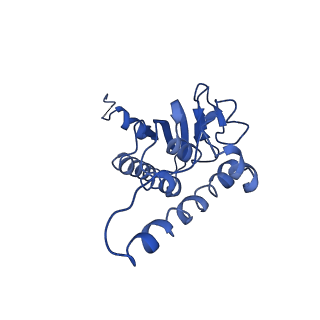 31560_7feq_I_v1-1
Cryo-EM structure of apo BsClpP at pH 6.5