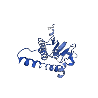 31560_7feq_J_v1-1
Cryo-EM structure of apo BsClpP at pH 6.5