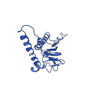31560_7feq_K_v1-1
Cryo-EM structure of apo BsClpP at pH 6.5