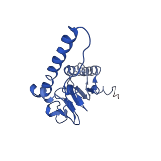 31560_7feq_L_v1-1
Cryo-EM structure of apo BsClpP at pH 6.5