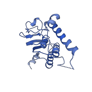 31561_7fer_A_v1-1
Cryo-EM structure of BsClpP-ADEP1 complex at pH 4.2