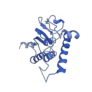 31561_7fer_B_v1-1
Cryo-EM structure of BsClpP-ADEP1 complex at pH 4.2