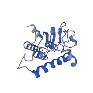 31561_7fer_C_v1-1
Cryo-EM structure of BsClpP-ADEP1 complex at pH 4.2