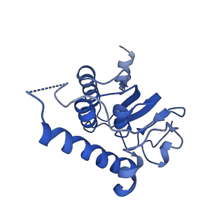 31561_7fer_D_v1-1
Cryo-EM structure of BsClpP-ADEP1 complex at pH 4.2