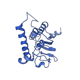31561_7fer_E_v1-1
Cryo-EM structure of BsClpP-ADEP1 complex at pH 4.2