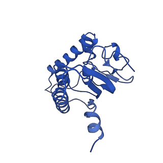 31561_7fer_H_v1-1
Cryo-EM structure of BsClpP-ADEP1 complex at pH 4.2